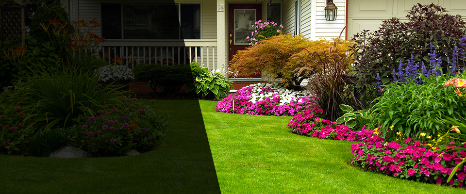 Peoria Landscapers