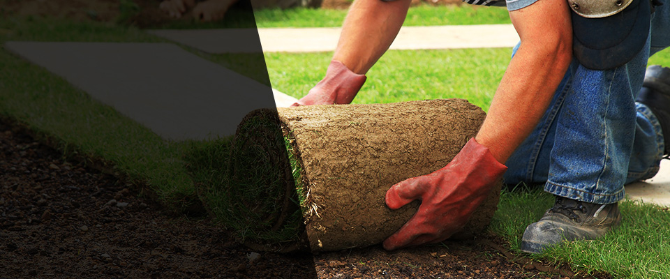 Peoria Landscapers